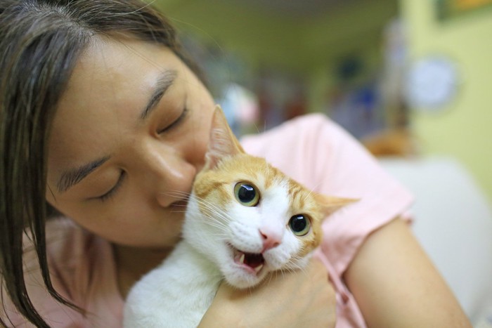 女性に猫吸いされて怒る猫