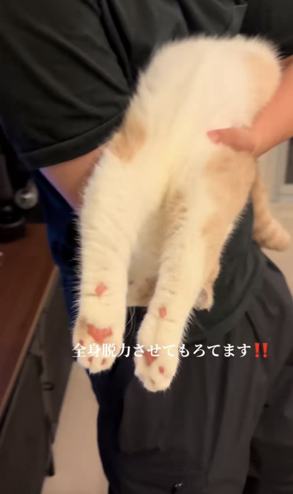 「全身脱力させてもろてます」のテロップ写真2