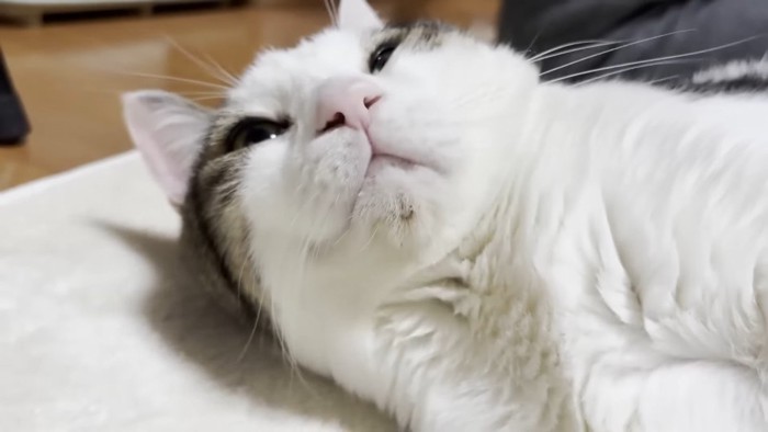 目を開けた顔のアップ