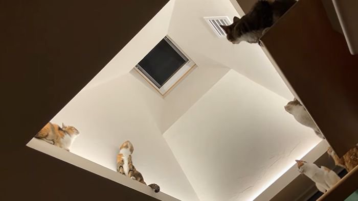 みんなで一点集中・別アングル