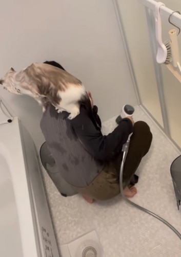 背中に乗り込む猫