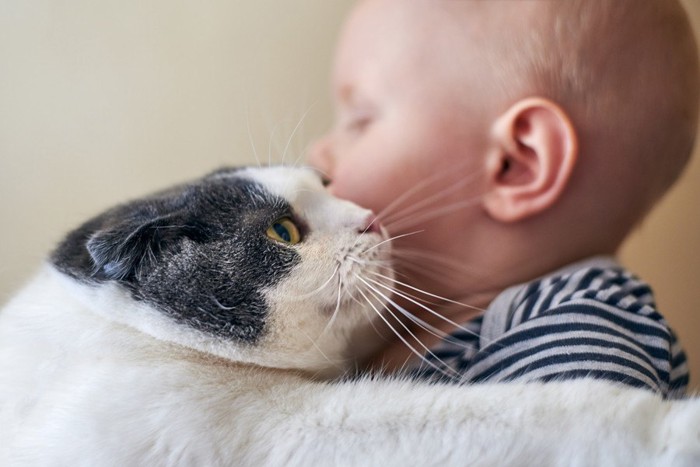 赤ちゃんにすり寄る猫