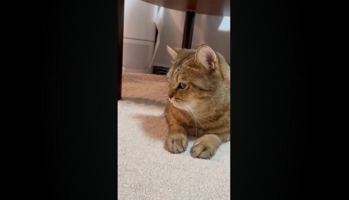 見つめて