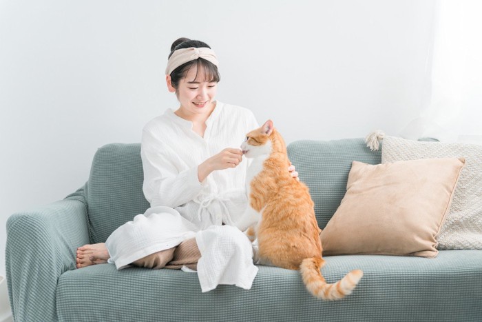 猫にご褒美をあげる女性