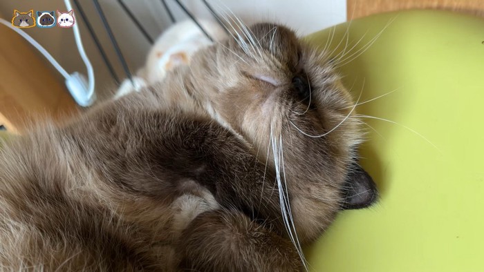 顔のアップ