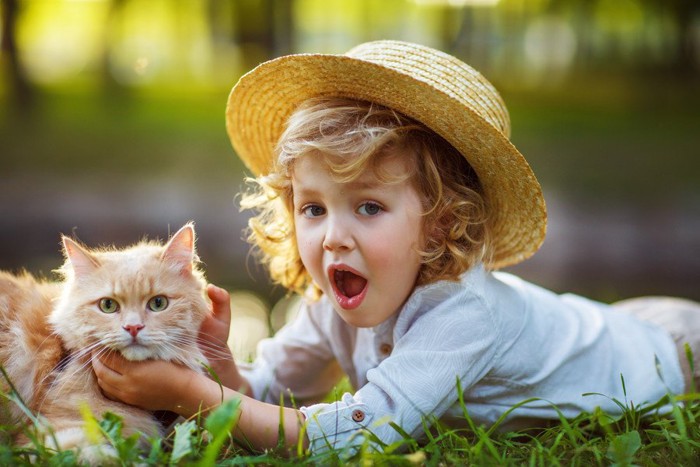 子どもと遊ぶ猫