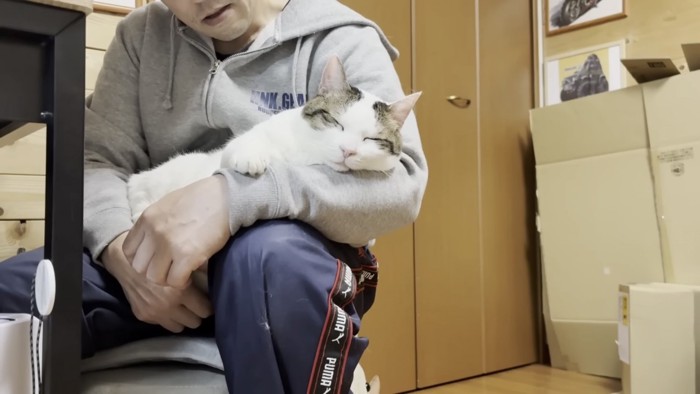 膝の上でくつろぐ猫の写真10