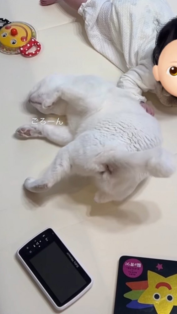 赤ちゃんのそばに寝転がる猫