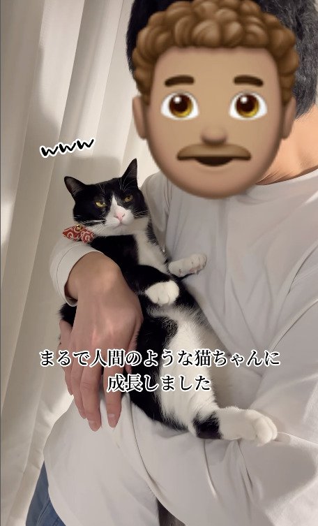 表情豊かな猫