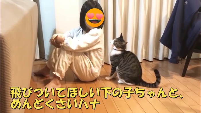 座っている女の子と猫