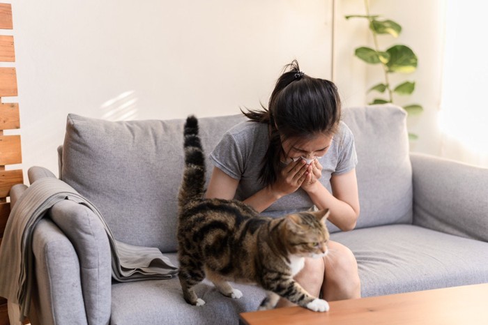 触られるのを嫌がる猫