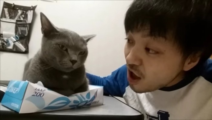 猫と話しかける人