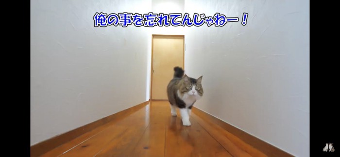 忘れないで