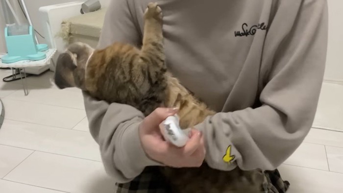 体を反らした姿