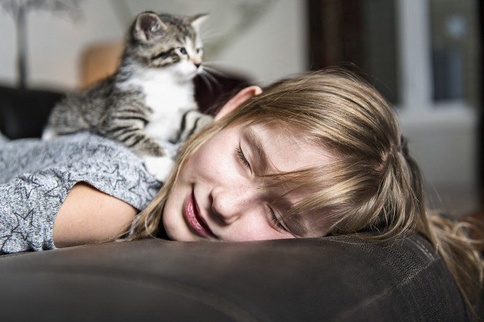 飼い主を独り占めする猫