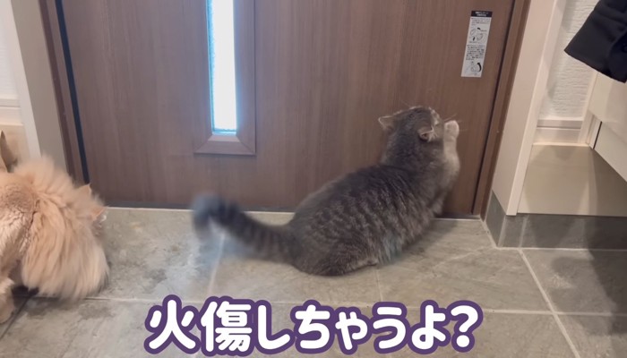 火傷しちゃうよ？