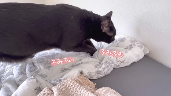 寝床を整えるくまごろう