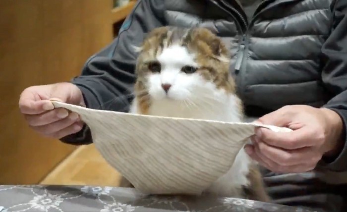 スタイを持ち上げる