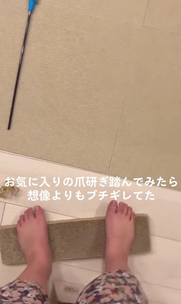 爪とぎにのる飼い主さん