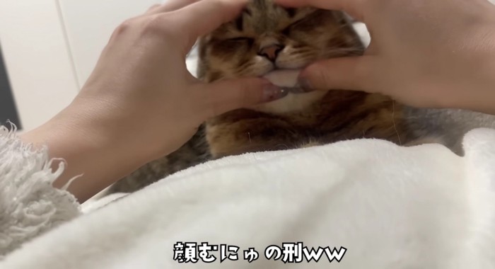 顔むにゅされるみにらくん%％顔むにゅされるみにらくん