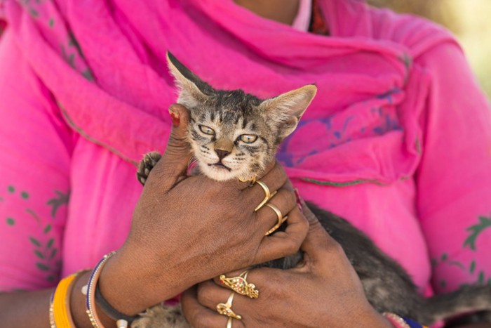 民族衣装を着た女性に抱かれる子猫