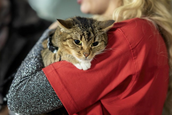 女性に抱かれる猫