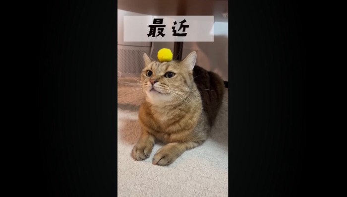 最近