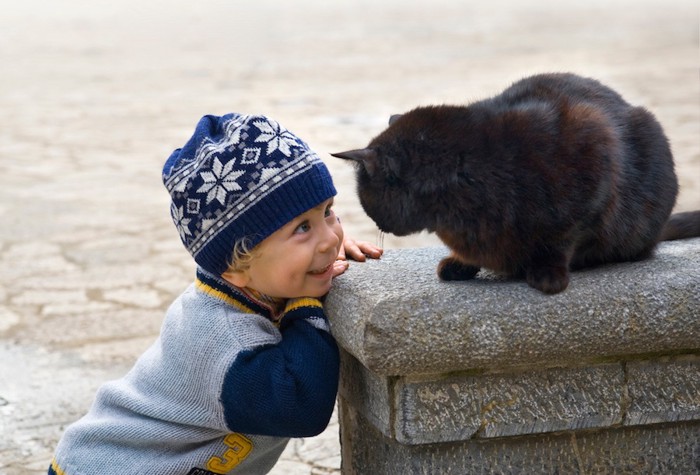 黒猫を見つめる男の子