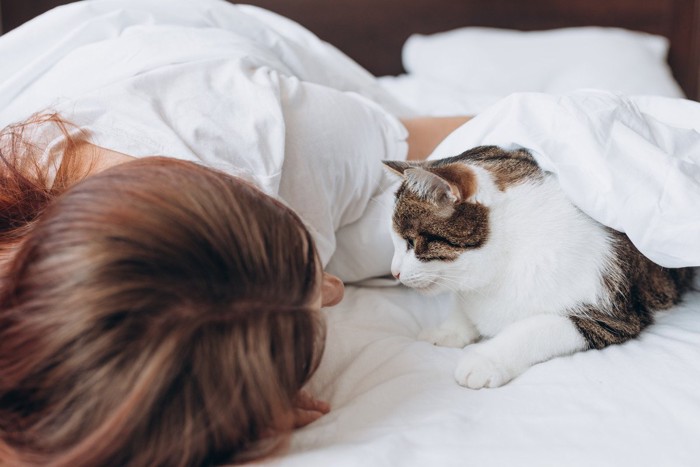 寝ている女性の顔を見つめる猫