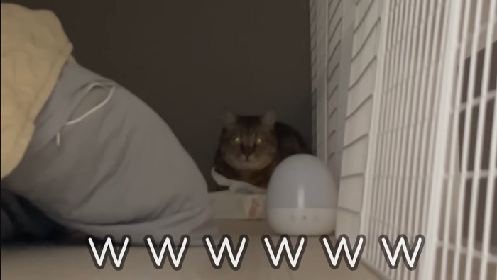 目を光らせて