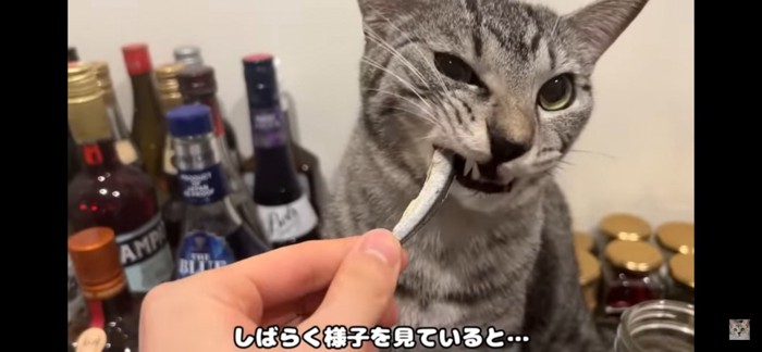 食べる