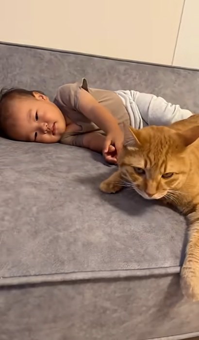 赤ちゃんと一緒に寝ている猫