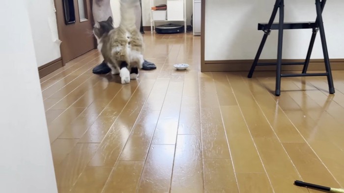 歩いて行く後ろ姿