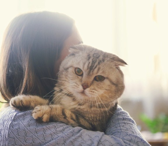 抱っこされる猫