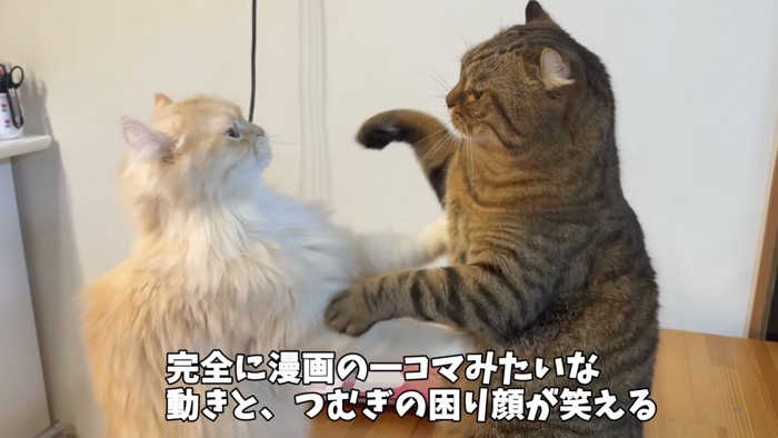 横からパンチし合う写真