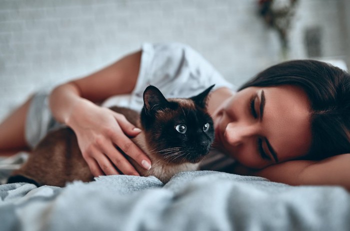 横になった女性の隣に座るシャム猫