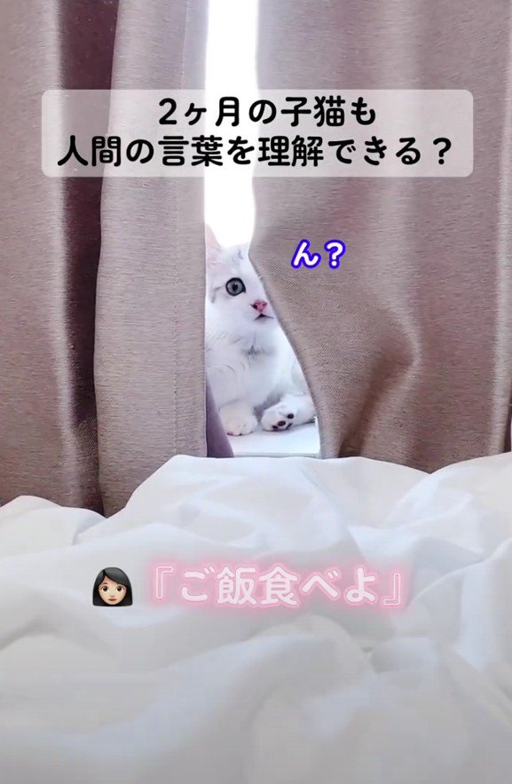 顔を上げるレビンちゃん