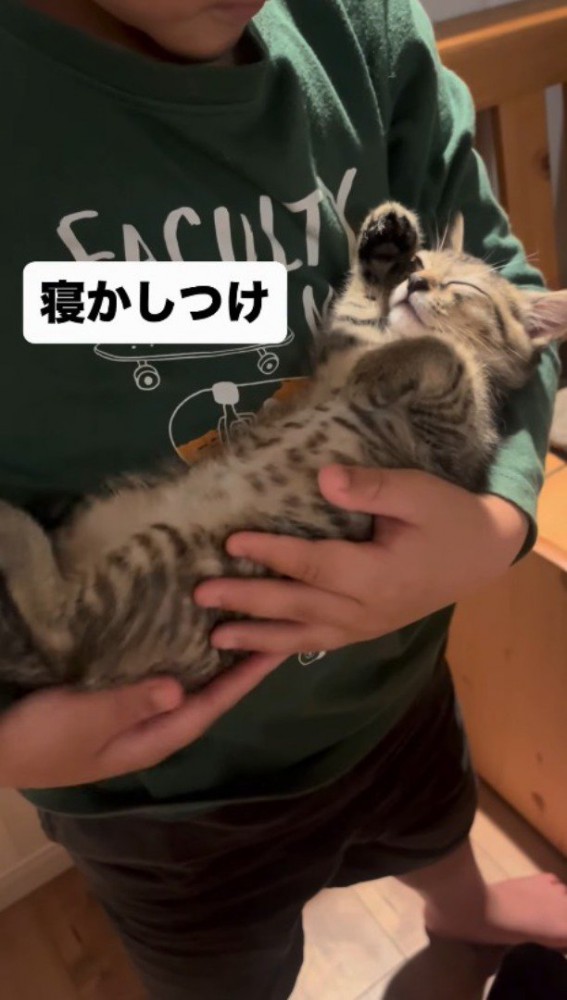 男の子に大切そうに抱っこされている子猫