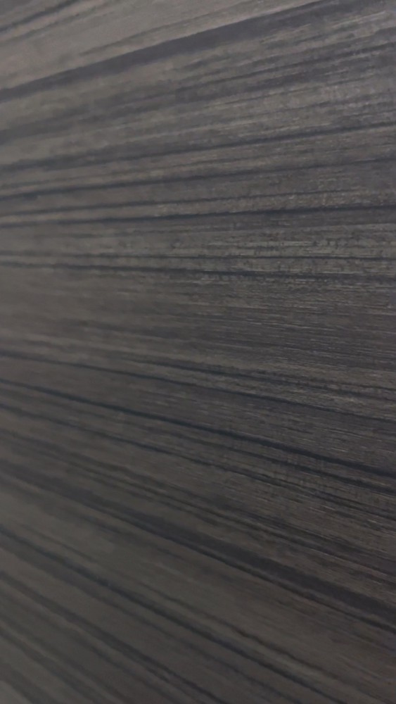 扉のむこうの猫さん