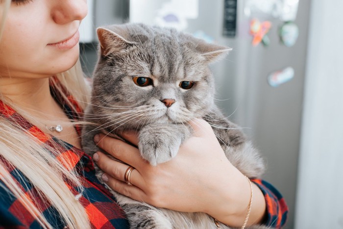 女性に抱っこされて目をそらしている猫