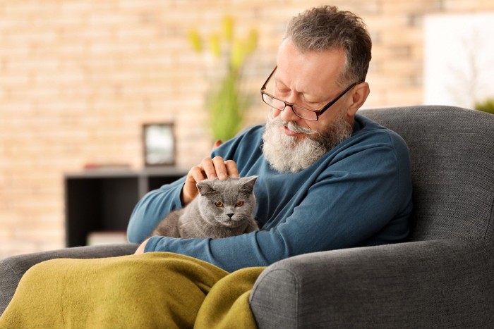 男性の膝の上に乗る猫