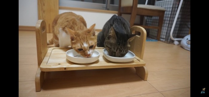 完食