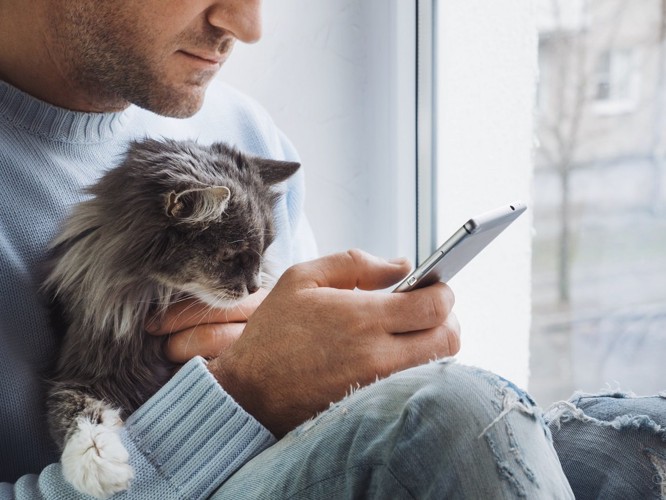 飼い主と一緒にスマホを見る猫