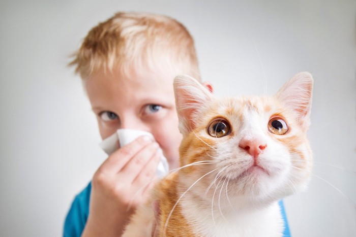 鼻を押さえる少年と猫