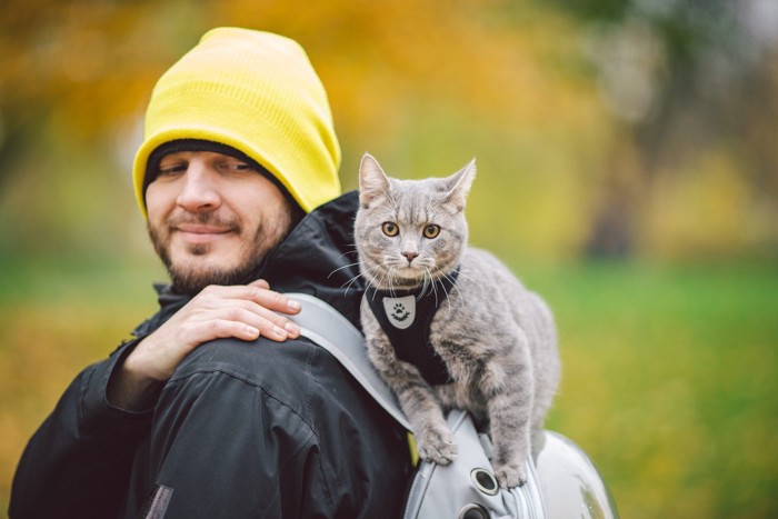 飼い主の男性のリュックに載って、景色を楽しむ猫