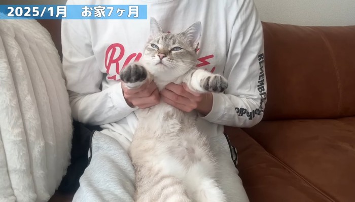お家7か月