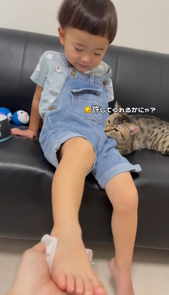 ソファに座って下を向く男の子と寄り添う猫