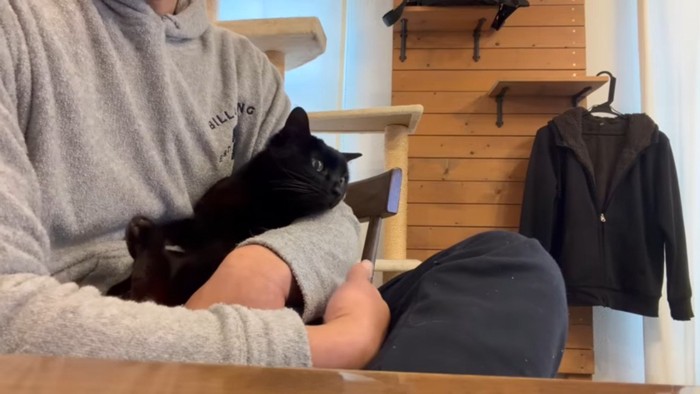 抱っこされる黒猫