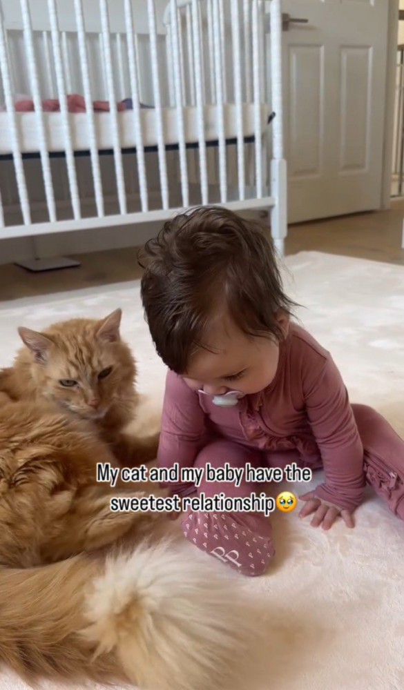 正面を向く猫と子ども