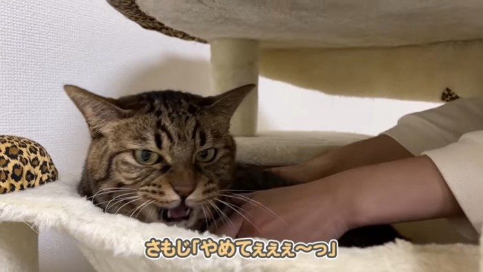 やめてぇぇぇ~っ